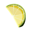 gajo-limon@2x Home